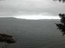 ./images/koeye/fitz-hugh/20200912/fitz-hugh20200912_071502.jpg