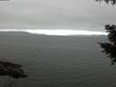 ./images/koeye/fitz-hugh/20200912/fitz-hugh20200912_072502.jpg