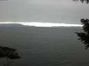 ./images/koeye/fitz-hugh/20200912/fitz-hugh20200912_073502.jpg