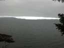 ./images/koeye/fitz-hugh/20200912/fitz-hugh20200912_074002.jpg