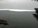 ./images/koeye/fitz-hugh/20200912/fitz-hugh20200912_074502.jpg