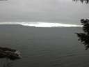 ./images/koeye/fitz-hugh/20200912/fitz-hugh20200912_075002.jpg