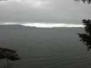 ./images/koeye/fitz-hugh/20200912/fitz-hugh20200912_075502.jpg