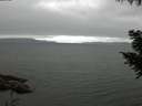 ./images/koeye/fitz-hugh/20200912/fitz-hugh20200912_080502.jpg