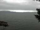 ./images/koeye/fitz-hugh/20200912/fitz-hugh20200912_081002.jpg