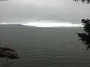 ./images/koeye/fitz-hugh/20200912/fitz-hugh20200912_082001.jpg