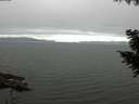 ./images/koeye/fitz-hugh/20200912/fitz-hugh20200912_082501.jpg