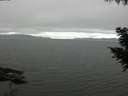 ./images/koeye/fitz-hugh/20200912/fitz-hugh20200912_083501.jpg