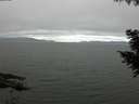 ./images/koeye/fitz-hugh/20200912/fitz-hugh20200912_084001.jpg