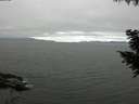 ./images/koeye/fitz-hugh/20200912/fitz-hugh20200912_084501.jpg