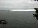 ./images/koeye/fitz-hugh/20200912/fitz-hugh20200912_085001.jpg