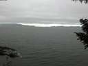 ./images/koeye/fitz-hugh/20200912/fitz-hugh20200912_085501.jpg