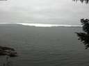 ./images/koeye/fitz-hugh/20200912/fitz-hugh20200912_091001.jpg