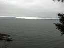 ./images/koeye/fitz-hugh/20200912/fitz-hugh20200912_091501.jpg