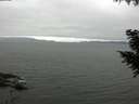 ./images/koeye/fitz-hugh/20200912/fitz-hugh20200912_092001.jpg