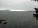./images/koeye/fitz-hugh/20200912/fitz-hugh20200912_092501.jpg