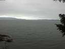 ./images/koeye/fitz-hugh/20200912/fitz-hugh20200912_093501.jpg