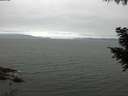 ./images/koeye/fitz-hugh/20200912/fitz-hugh20200912_094001.jpg