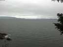 ./images/koeye/fitz-hugh/20200912/fitz-hugh20200912_094501.jpg