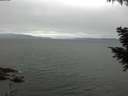 ./images/koeye/fitz-hugh/20200912/fitz-hugh20200912_095001.jpg