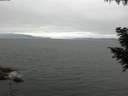./images/koeye/fitz-hugh/20200912/fitz-hugh20200912_095501.jpg