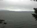./images/koeye/fitz-hugh/20200912/fitz-hugh20200912_100002.jpg
