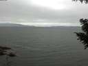 ./images/koeye/fitz-hugh/20200912/fitz-hugh20200912_100501.jpg