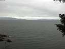 ./images/koeye/fitz-hugh/20200912/fitz-hugh20200912_101001.jpg