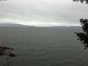 ./images/koeye/fitz-hugh/20200912/fitz-hugh20200912_101502.jpg