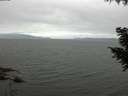 ./images/koeye/fitz-hugh/20200912/fitz-hugh20200912_102001.jpg