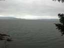 ./images/koeye/fitz-hugh/20200912/fitz-hugh20200912_102502.jpg