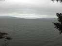 ./images/koeye/fitz-hugh/20200912/fitz-hugh20200912_103502.jpg