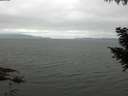./images/koeye/fitz-hugh/20200912/fitz-hugh20200912_104002.jpg