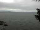 ./images/koeye/fitz-hugh/20200912/fitz-hugh20200912_104502.jpg