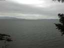 ./images/koeye/fitz-hugh/20200912/fitz-hugh20200912_105002.jpg