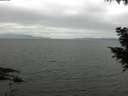 ./images/koeye/fitz-hugh/20200912/fitz-hugh20200912_105502.jpg