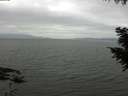 ./images/koeye/fitz-hugh/20200912/fitz-hugh20200912_110502.jpg