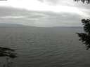 ./images/koeye/fitz-hugh/20200912/fitz-hugh20200912_111502.jpg