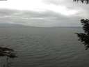 ./images/koeye/fitz-hugh/20200912/fitz-hugh20200912_112001.jpg