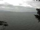 ./images/koeye/fitz-hugh/20200912/fitz-hugh20200912_112501.jpg