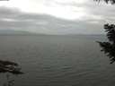 ./images/koeye/fitz-hugh/20200912/fitz-hugh20200912_113501.jpg