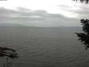 ./images/koeye/fitz-hugh/20200912/fitz-hugh20200912_114001.jpg