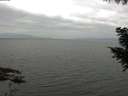 ./images/koeye/fitz-hugh/20200912/fitz-hugh20200912_114501.jpg