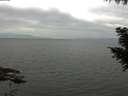 ./images/koeye/fitz-hugh/20200912/fitz-hugh20200912_115001.jpg