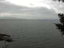 ./images/koeye/fitz-hugh/20200912/fitz-hugh20200912_115501.jpg
