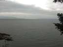 ./images/koeye/fitz-hugh/20200912/fitz-hugh20200912_120001.jpg