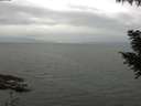./images/koeye/fitz-hugh/20200912/fitz-hugh20200912_121001.jpg