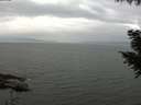 ./images/koeye/fitz-hugh/20200912/fitz-hugh20200912_122001.jpg