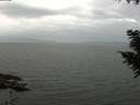 ./images/koeye/fitz-hugh/20200912/fitz-hugh20200912_122501.jpg
