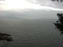 ./images/koeye/fitz-hugh/20200912/fitz-hugh20200912_123501.jpg